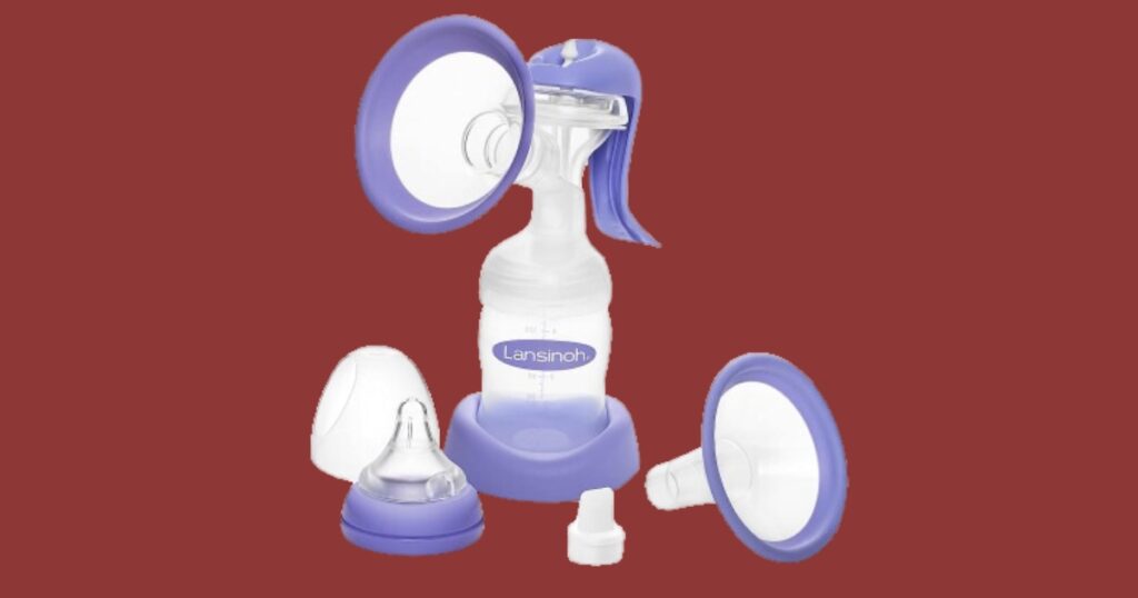 Best Breast Pumps in 2024