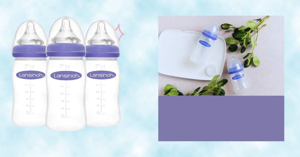 The Best Baby Bottles in 2024